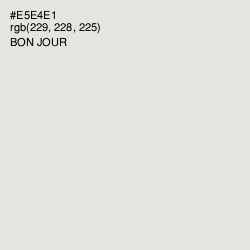 #E5E4E1 - Bon Jour Color Image